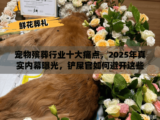宠物殡葬行业十大痛点,2025年真实内幕曝光,铲屎官如何避开这些坑? 宠物殡葬行业十大痛点,2025年真实内幕曝光,铲屎官如何避开这些坑?