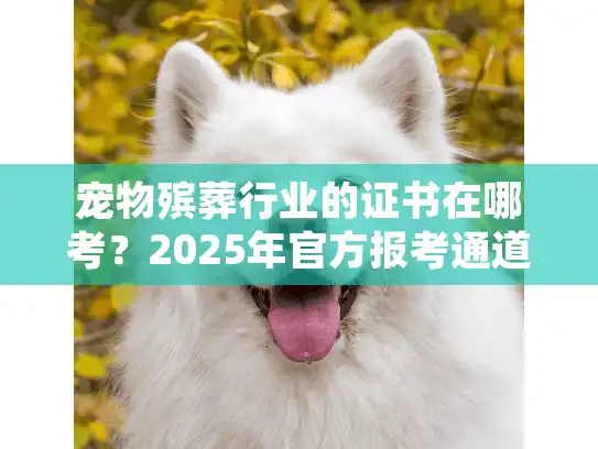 宠物殡葬行业的证书在哪考？2025年官方报考通道+稀缺资质全揭秘