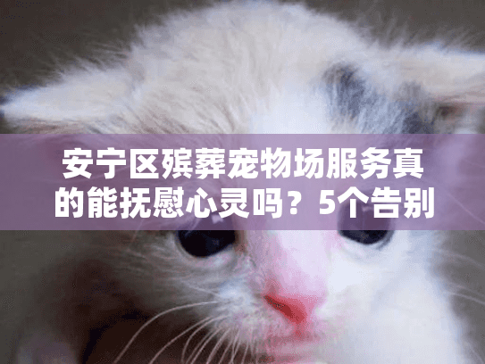 安宁区殡葬宠物场服务真的能抚慰心灵吗?5个告别仪式解析 安宁区殡葬宠物场服务真的能抚慰心灵吗?5个告别仪式解析