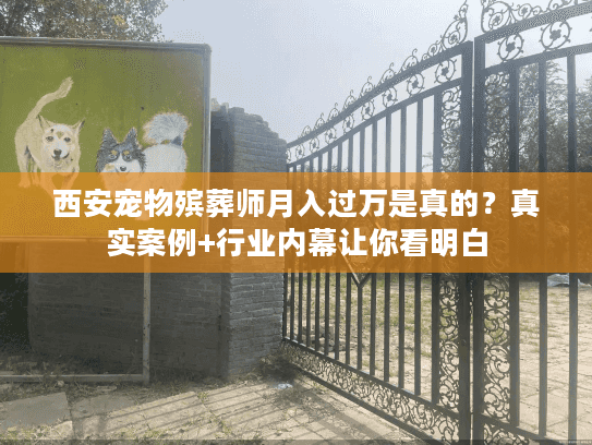 西安宠物殡葬师月入过万是真的？真实案例+行业内幕让你看明白