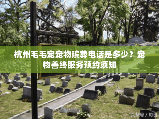 杭州毛毛宠宠物殡葬电话是多少？宠物善终服务预约须知