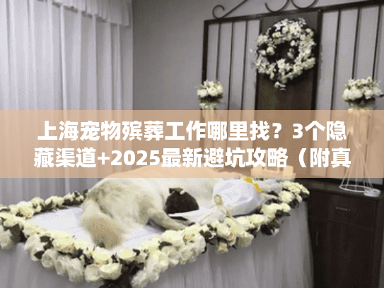上海宠物殡葬工作哪里找？3个隐藏渠道+2025最新避坑攻略（附真实案例）