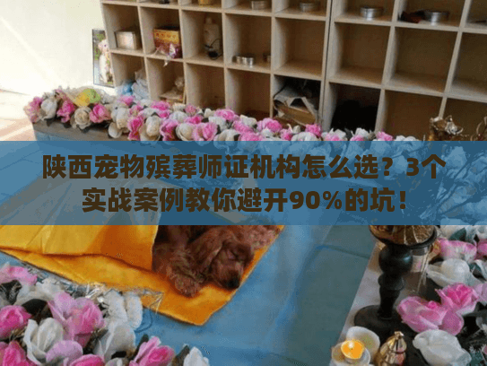 陕西宠物殡葬师证机构怎么选？3个实战案例教你避开90%的坑！