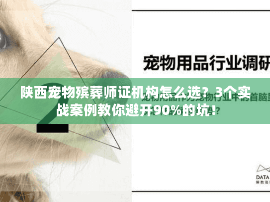 陕西宠物殡葬师证机构怎么选？3个实战案例教你避开90%的坑！