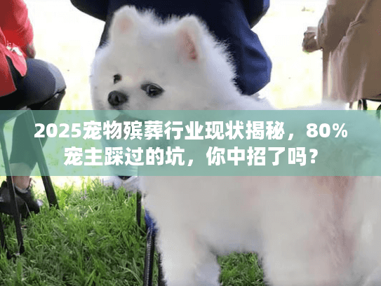 2025宠物殡葬行业现状揭秘，80%宠主踩过的坑，你中招了吗？