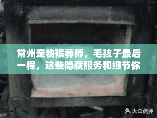 常州宠物殡葬师，毛孩子最后一程，这些隐藏服务和细节你不能错过！