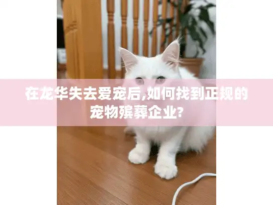 在龙华失去爱宠后,如何找到正规的宠物殡葬企业?