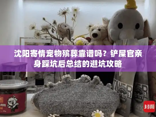 沈阳寄情宠物殡葬靠谱吗？铲屎官亲身踩坑后总结的避坑攻略