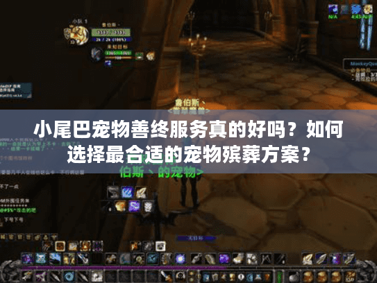 小尾巴宠物善终服务真的好吗？如何选择最合适的宠物殡葬方案？