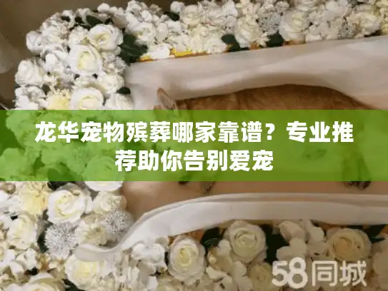 龙华宠物殡葬哪家靠谱?专业推荐助你告别爱宠 龙华宠物殡葬哪家靠谱?专业推荐助你告别爱宠