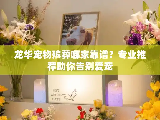 龙华宠物殡葬哪家靠谱?专业推荐助你告别爱宠 龙华宠物殡葬哪家靠谱?专业推荐助你告别爱宠