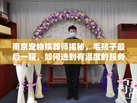 南京宠物殡葬师揭秘，毛孩子最后一程，如何选到有温度的服务？