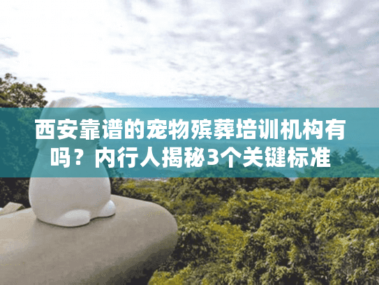 西安靠谱的宠物殡葬培训机构有吗？内行人揭秘3个关键标准