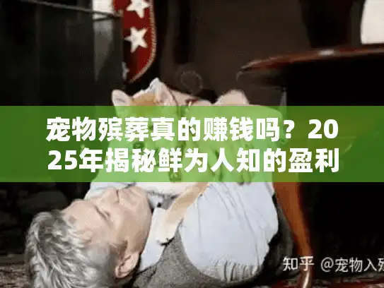 宠物殡葬真的赚钱吗？2025年揭秘鲜为人知的盈利门道与实战案例