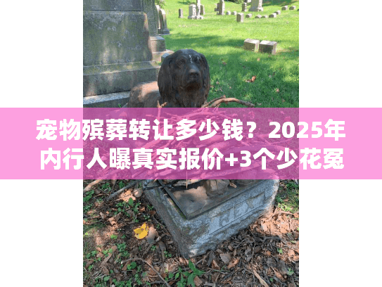 宠物殡葬转让多少钱？2025年内行人曝真实报价+3个少花冤枉钱的秘密