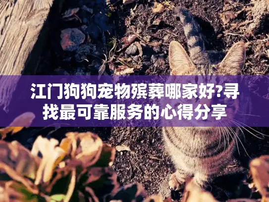 江门狗狗宠物殡葬哪家好?寻找最可靠服务的心得分享 江门狗狗宠物殡葬哪家好?寻找最可靠服务的心得分享