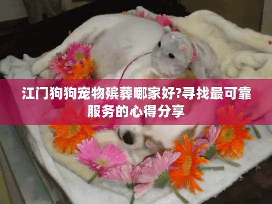 江门狗狗宠物殡葬哪家好?寻找最可靠服务的心得分享 江门狗狗宠物殡葬哪家好?寻找最可靠服务的心得分享