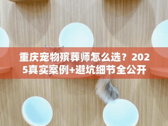 重庆宠物殡葬师怎么选？2025真实案例+避坑细节全公开