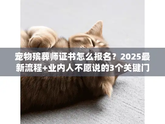 宠物殡葬师证书怎么报名？2025最新流程+业内人不愿说的3个关键门槛