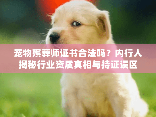宠物殡葬师证书合法吗?内行人揭秘行业资质真相与持证误区 宠物殡葬师证书合法吗?内行人揭秘行业资质真相与持证误区