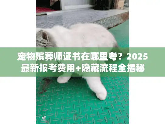 宠物殡葬师证书在哪里考?2025最新报考费用+隐藏流程全揭秘 宠物殡葬师证书在哪里考?2025最新报考费用+隐藏流程全揭秘
