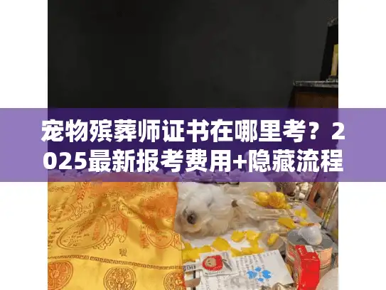 宠物殡葬师证书在哪里考?2025最新报考费用+隐藏流程全揭秘 宠物殡葬师证书在哪里考?2025最新报考费用+隐藏流程全揭秘