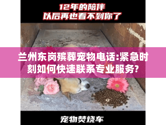 兰州东岗殡葬宠物电话:紧急时刻如何快速联系专业服务?