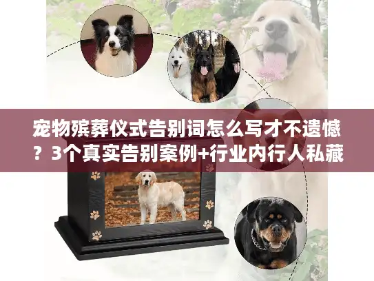 宠物殡葬仪式告别词怎么写才不遗憾？3个真实告别案例+行业内行人私藏细节