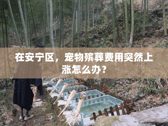 在安宁区，宠物殡葬费用突然上涨怎么办？