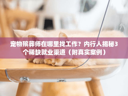 宠物殡葬师在哪里找工作？内行人揭秘3个稀缺就业渠道（附真实案例）