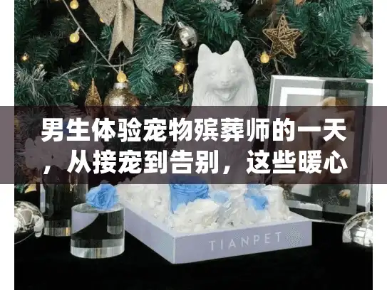 男生体验宠物殡葬师的一天，从接宠到告别，这些暖心细节你肯定没见过？