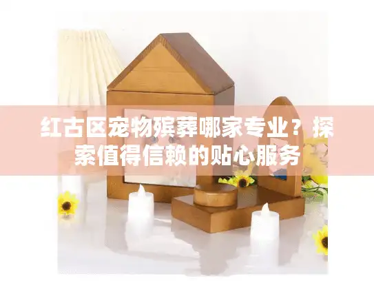 红古区宠物殡葬哪家专业？探索值得信赖的贴心服务