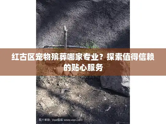 红古区宠物殡葬哪家专业？探索值得信赖的贴心服务