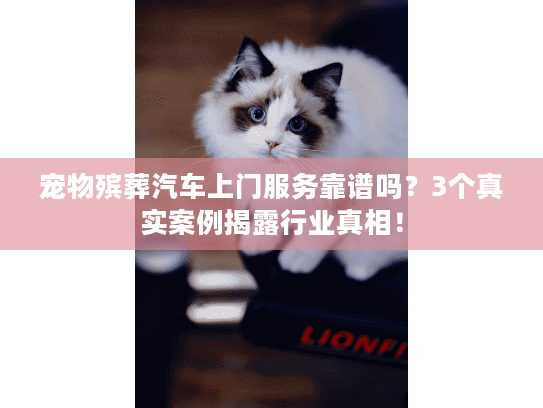 宠物殡葬汽车上门服务靠谱吗？3个真实案例揭露行业真相！