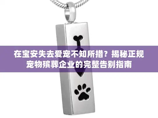 在宝安失去爱宠不知所措？揭秘正规宠物殡葬企业的完整告别指南