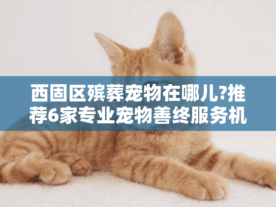 西固区殡葬宠物在哪儿?推荐6家专业宠物善终服务机构