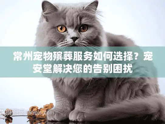 常州宠物殡葬服务如何选择？宠安堂解决您的告别困扰