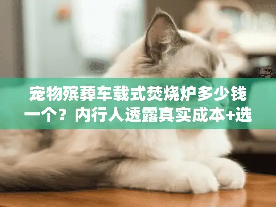 宠物殡葬车载式焚烧炉多少钱一个?内行人透露真实成本+选购避坑技巧 宠物殡葬车载式焚烧炉多少钱一个?内行人透露真实成本+选购避坑技巧