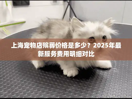 上海宠物店殡葬价格是多少？2025年最新服务费用明细对比