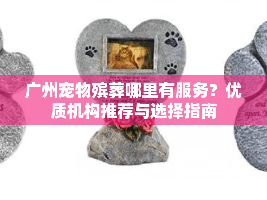 广州宠物殡葬哪里有服务？优质机构推荐与选择指南