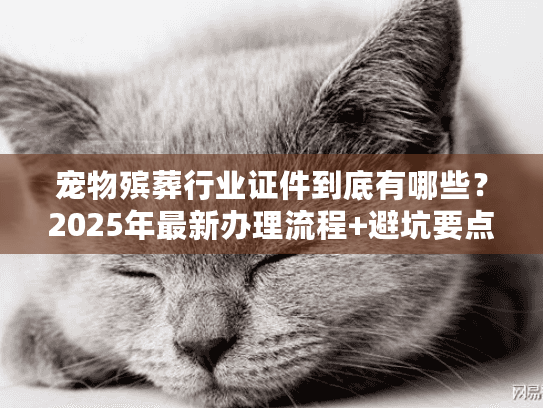 宠物殡葬行业证件到底有哪些？2025年最新办理流程+避坑要点