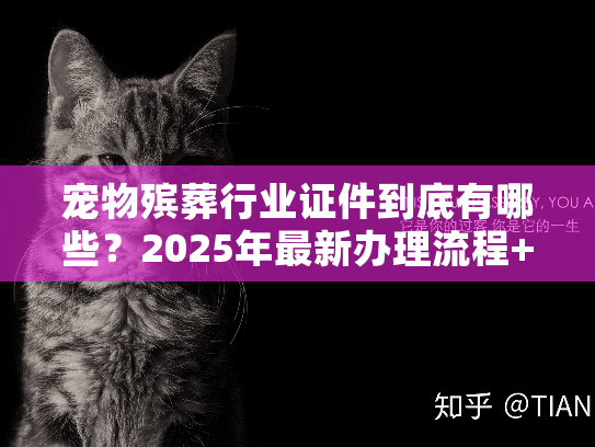 宠物殡葬行业证件到底有哪些？2025年最新办理流程+避坑要点