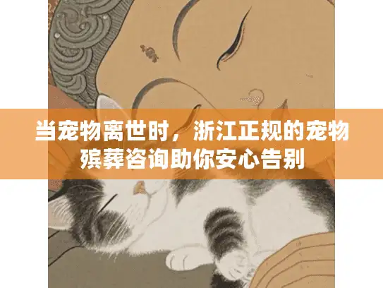 当宠物离世时，浙江正规的宠物殡葬咨询助你安心告别