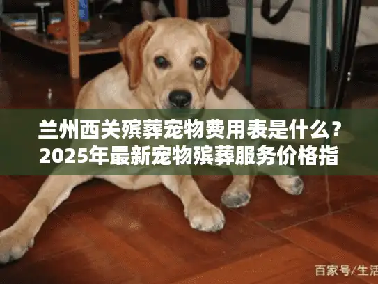 兰州西关殡葬宠物费用表是什么？2025年最新宠物殡葬服务价格指南