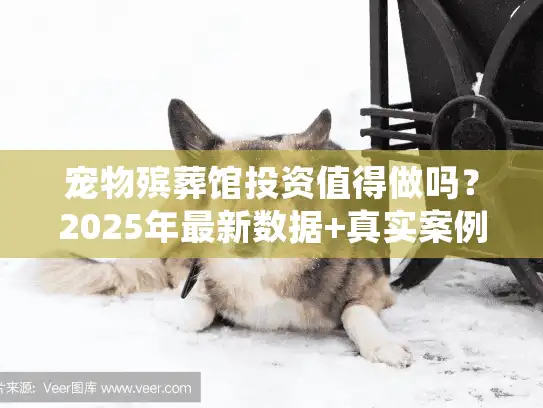 宠物殡葬馆投资值得做吗?2025年最新数据+真实案例揭秘盈利真相与避坑要点 宠物殡葬馆投资值得做吗?2025年最新数据+真实案例揭秘盈利真相与避坑要点