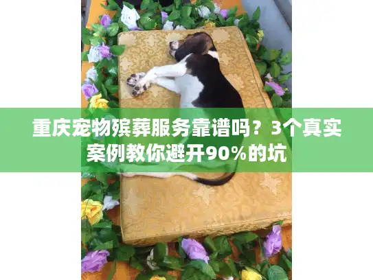 重庆宠物殡葬服务靠谱吗？3个真实案例教你避开90%的坑
