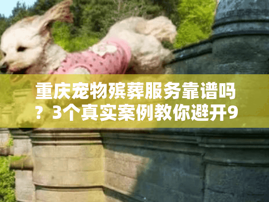 重庆宠物殡葬服务靠谱吗？3个真实案例教你避开90%的坑