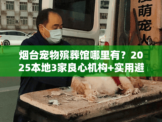 烟台宠物殡葬馆哪里有？2025本地3家良心机构+实用避坑技巧