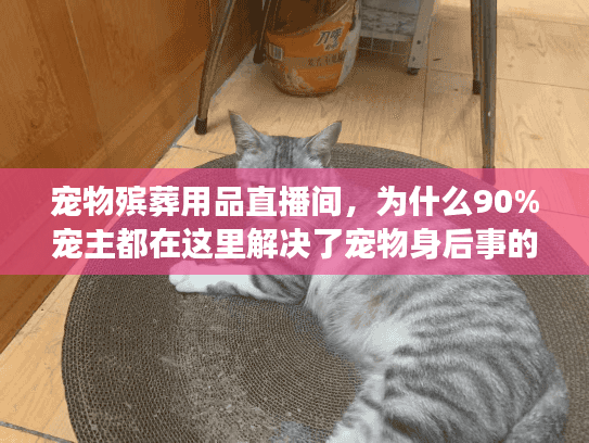宠物殡葬用品直播间，为什么90%宠主都在这里解决了宠物身后事的痛点？