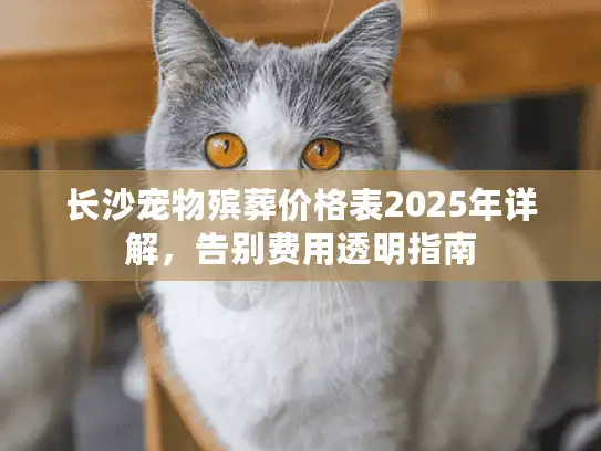 长沙宠物殡葬价格表2025年详解，告别费用透明指南